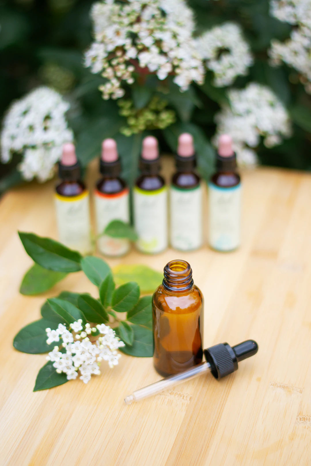 Nourishing Oils for Revitalizing Dull Skin and Fine Lines