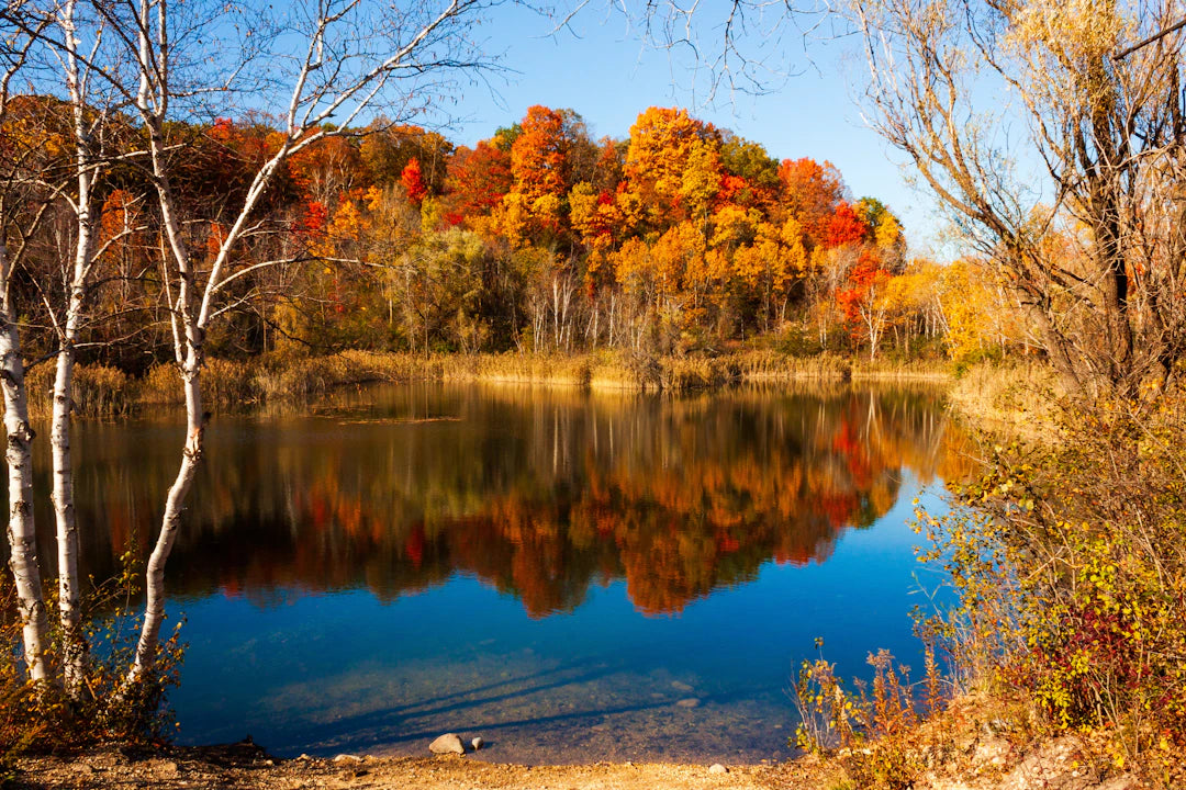 Embrace the Seasons Transform Your Routine for Radiance