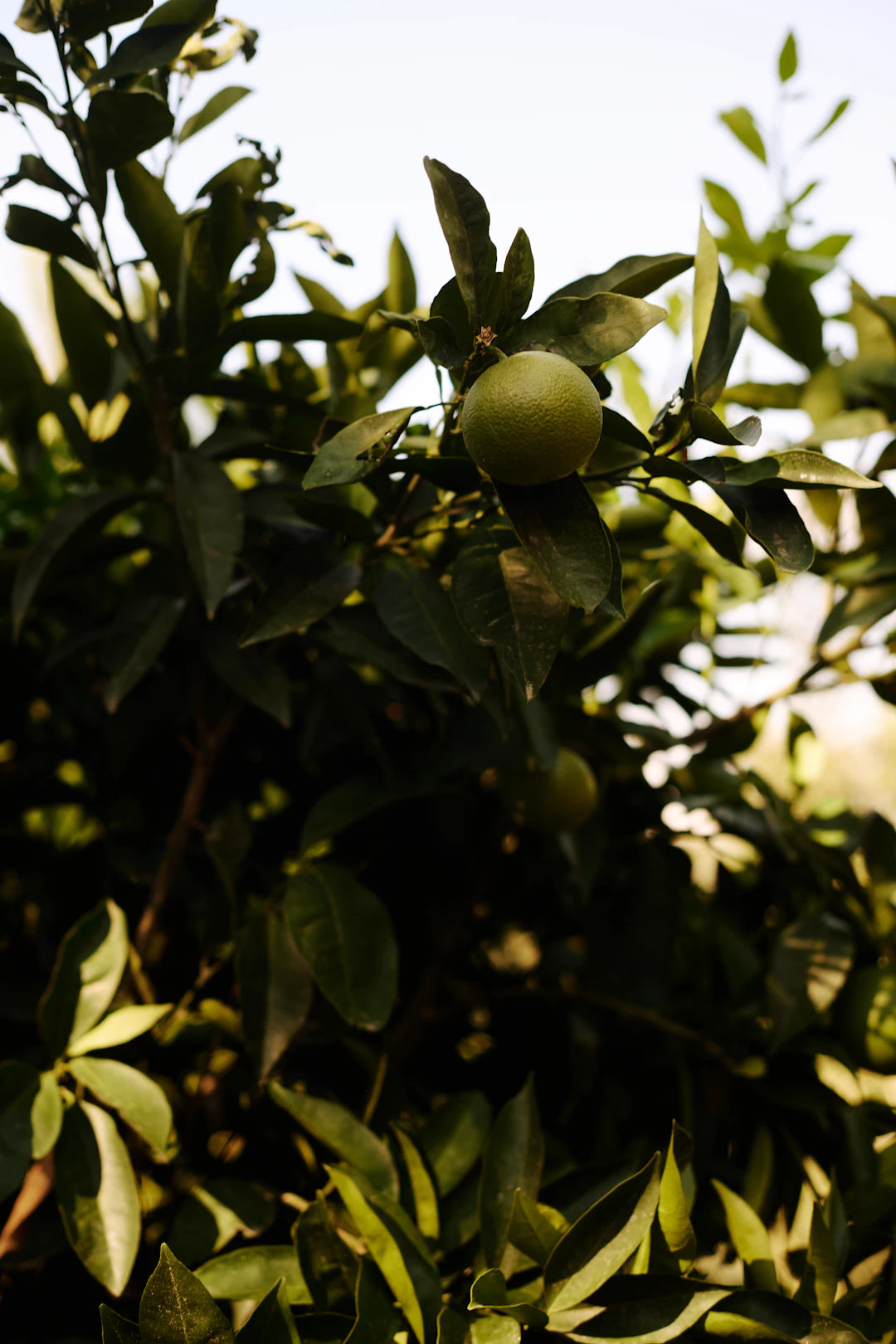 Travel Smart Keep Your Skincare Routine Flawless