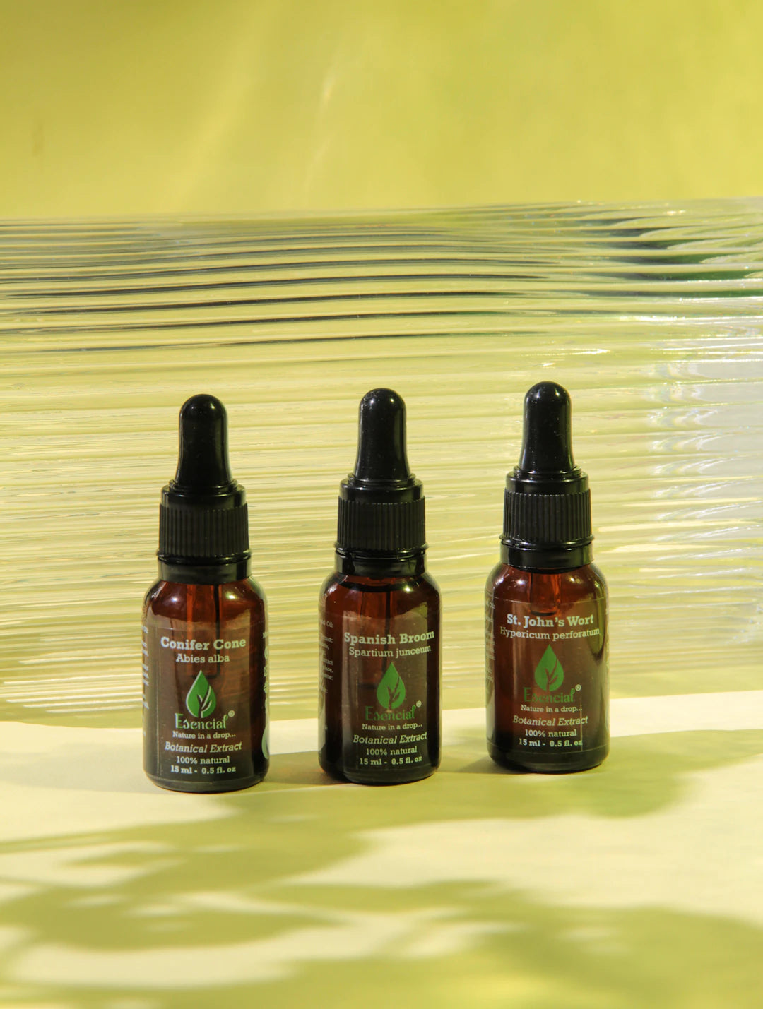 Nourishing Oils for Glowing, Revitalized Skin