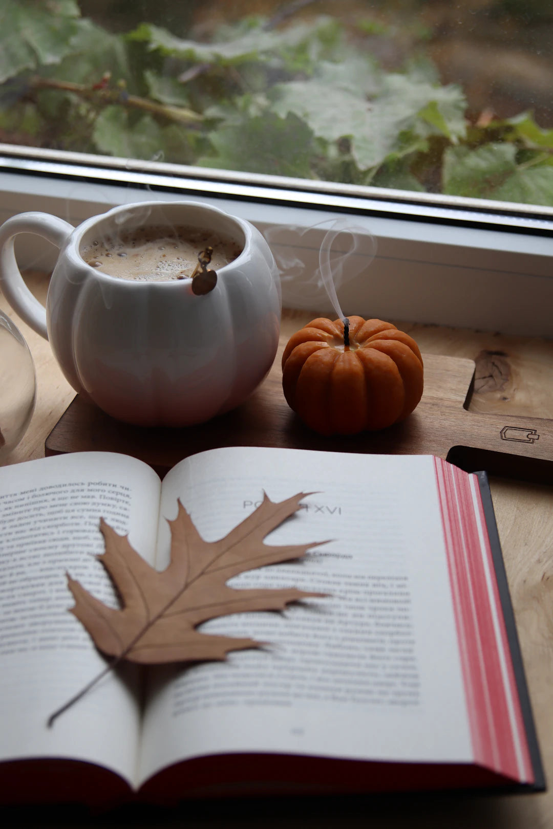 Embrace Change Adjusting Your Routine for Seasonal Shifts